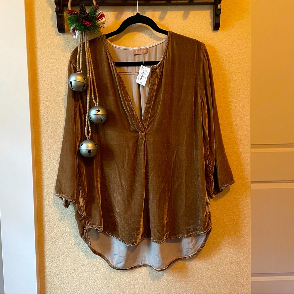 CP Shades Velvet Blouse